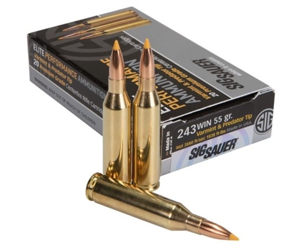 Picture of Sig Sauer 243 55Gr Tip HP 20Rd Elite