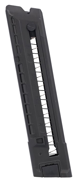 Picture of Sig Sauer 8900746 P322  25Rd 22Lr Black Polymer 798681657117 -
