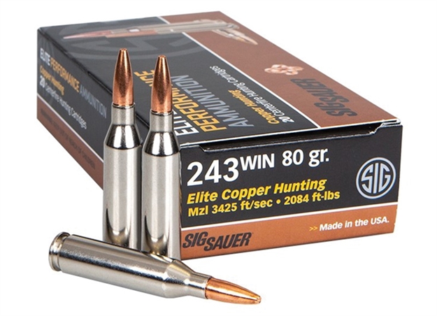 Picture of Sig Sauer Performance Hunting Rifle Ammo 243 Win, Copper Hunting, 80 Gr, 20 Rnd E243H120 798681600328