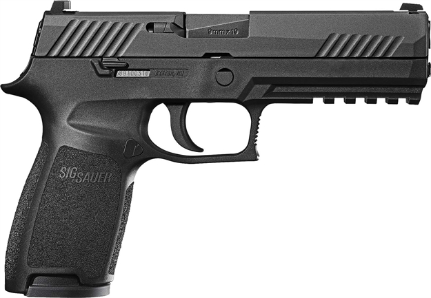 Picture of Sig Sauer P320f Nit Pst 9Mm 17R NS 798681697458 -