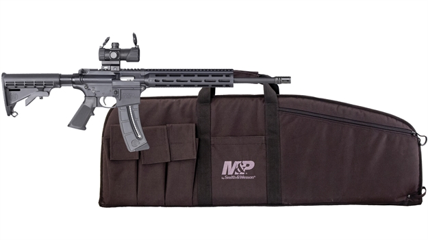 Picture of Smith & Wesson M&P 15-22 Semi Auto Rimfire Rifle 22 LR 16.5" Bbl 25 RD Red/Grn Dot Optic And Carry Case 12546 022188877670