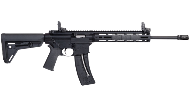 Picture of Smith & Wesson M&P 15-22 Sportmoe 22Lr