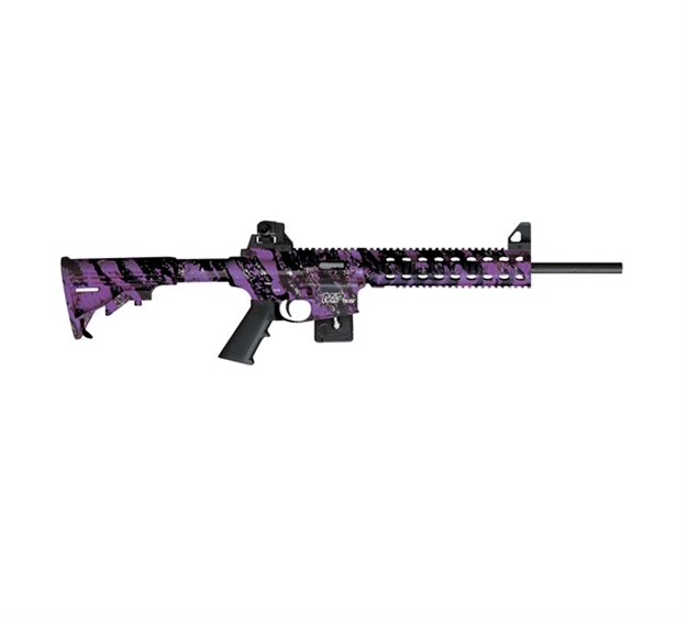 Picture of Smith & Wesson M&P15-22 Pur Plat 10Rd CA