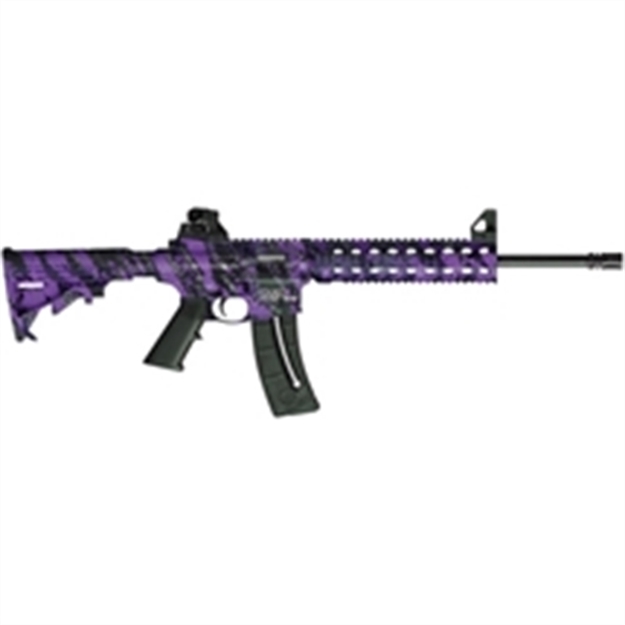 Picture of Smith & Wesson M&P15-22 Pur Plat 25Rd