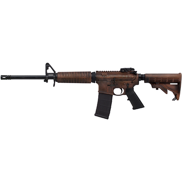 Picture of Smith & Wesson M&P15 Sport II 223Rem Molon Labe Spartanclad