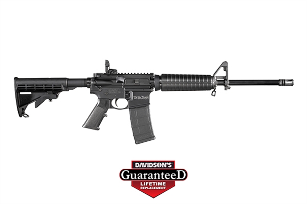 Picture of Smith & Wesson M&P15sportii 5.56     WE The People 30Rd