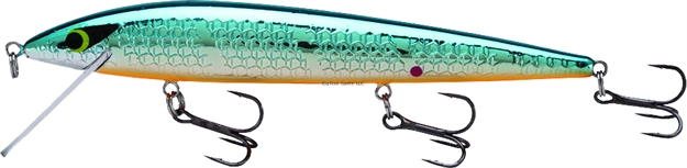 Picture of Smithwick Elite 8 Rogue, 4 1/2", 1/2 Oz, Chrome Blue Back Orange Belly, Suspending