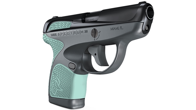 Picture of Spectrum 380 Bk/Gray Mint 2.8"