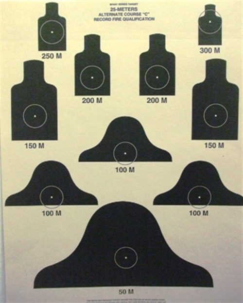 Picture of Speedwell Targets 25 Mtr Alt Course