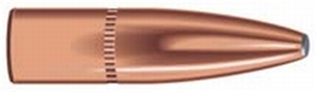 Picture of Speer Rifle Hunting Grand Slam Bullets, 284-145-Gr Sp, 50 CT 1632 076683016324
