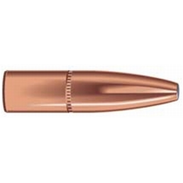 Picture of Speer Rifle Hunting Grand Slam Bullets, 284-160-Gr Sp, 50 CT 1638