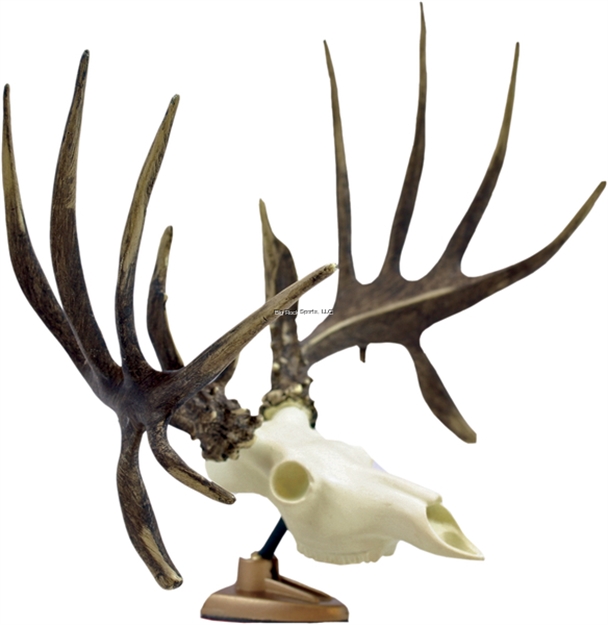 Picture of Spg Whitetail Raxx Figurine