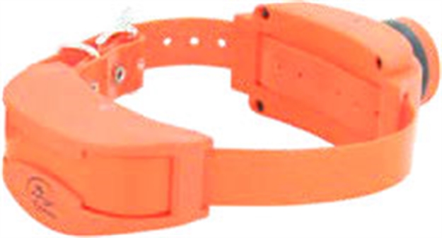 Picture of Sportdog Add-A-Dog For Sd1875 Collar/Receiver & Beeper Orng