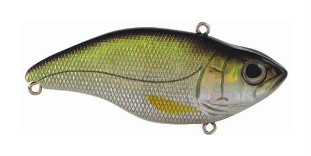Picture of Spro / Gamakatsu Aruku Shad Jr. Lipless Crankbait, 2", 3/8 Oz, Wild Shiner, Sinking