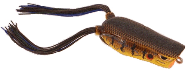 Picture of Spro / Gamakatsu Dean Rojas Bronzeye Popper Frog 60, 2-1/2", 1/2Oz, Red Ear, Floating SBEPP60RDER 651583113696