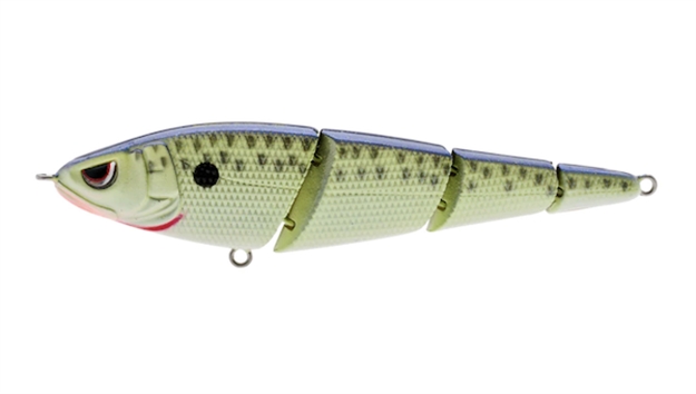 Picture of Spro / Gamakatsu Swimmer 125 Cell Mate SSS125CMT 651583156761