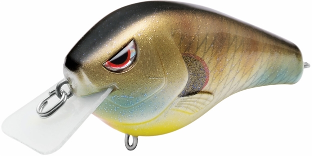 Picture of Spro / Gamakatsu Fat Papa Square Bill Crankbait, 3" Blue Gill, Dives 5' SFPSB70BLG