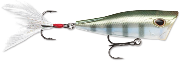 Picture of Storm Arashi Cover Pop 8, Bluegill, 3 1/8", 1/2 OZ
