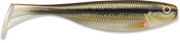 Picture of Storm Largo Shad, 3", Live Minnow, 7Pk