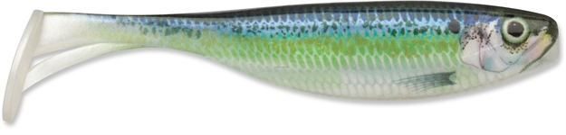 Picture of Storm Largo Shad, 3", Live River Shad, 7Pk