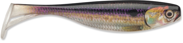 Picture of Storm Largo Shad, 3", Live Threadfin Shad, 7Pk