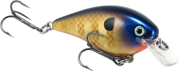 Picture of Strike King Kvd 1.0 Square Bill Crankbait, 2 1/2", 3/8 Oz, Bluegill, Floating,1Pk