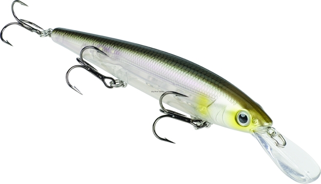 Picture of Strike King Kvd J300 Deep Dive Jerkbait, 4 1/4", 1/2 Oz, Clearwater Minnow, Floating,1Pk