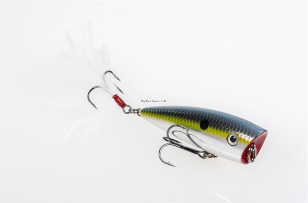 Picture of Strike King Kvd Sexy Splash Topwater Bait, 3", 1/2 Oz, Chrome Sexy Shad, Floating,1Pk
