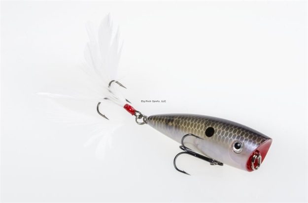 Picture of Strike King Kvd Sexy Splash Topwater Bait, 3", 1/2 Oz, Sexy Blueback Herring, Floating,1Pk