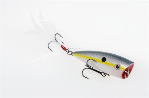 Picture of Strike King Kvd Sexy Splash Topwater Bait, 3", 1/2 Oz, Sexy Shad, Floating,1Pk