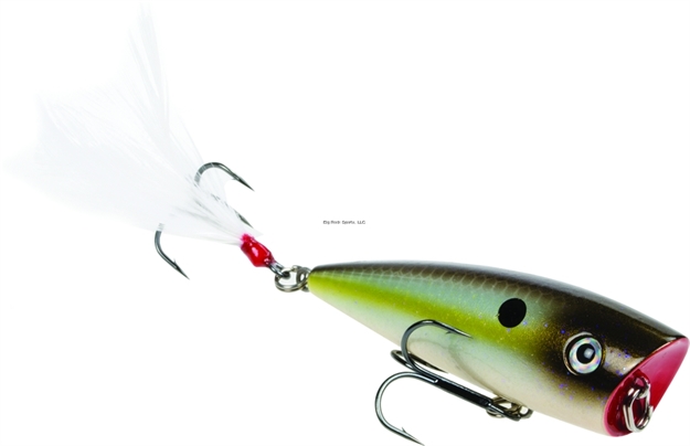 Picture of Strike King Kvd Sexy Splash Topwater Bait, 3", 1/2 Oz, Summer Sexy Shad, Floating,1Pk