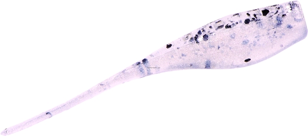 Picture of Strike King Mr. Crappie Lightning Shad, 2", Salt-N-Pepper, Floating,15Pk