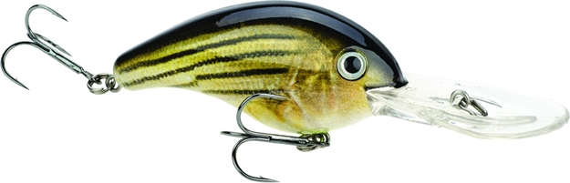 Picture of Strike King Pro Model 5Xd Extra Deep Dive Rattle Crankbait, 4", 5/8 Oz, Barfish, Floating,1Pk