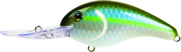 Picture of Strike King Pro Model 5Xd Extra Deep Dive Rattle Crankbait, 4", 5/8 Oz, Sexy Green Shad, Floating,1Pk