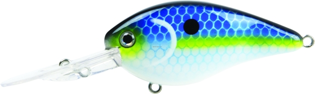 Picture of Strike King Pro Model HD Kvd 1.5 Flatside Medium Dive Crankbait, 3", 9/16 Oz, Juicy Shad, Floating,1Pk