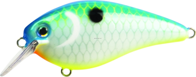 Picture of Strike King Pro Model HD Kvd 1.5 Square Bill Silent Crankbait, 3", 7/16 Oz, Citrus Shad, Floating,1Pk
