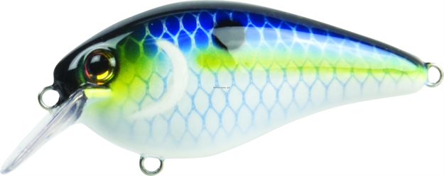 Picture of Strike King Pro Model HD Kvd 1.5 Square Bill Silent Crankbait, 3", 7/16 Oz, Juicy Shad, Floating,1Pk