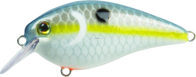Picture of Strike King Pro Model HD Kvd 1.5 Square Bill Silent Crankbait, 3", 7/16 Oz, Sexy Shad, Floating,1Pk