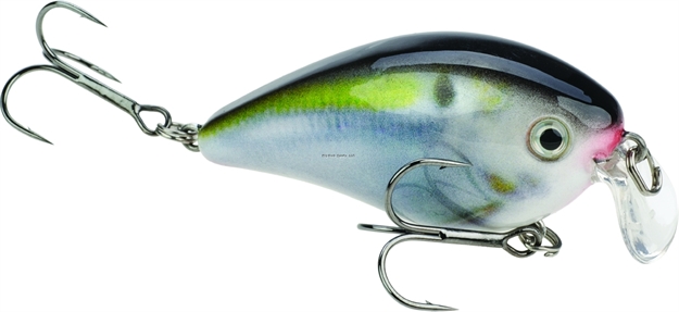 Picture of Strike King Pro Model Kvd 1.5 Shallow Runner Silent Crankbait, 1 1/4", 7/16 Oz, Natural Shad, Floating,1Pk