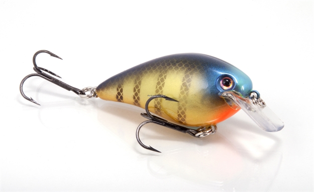 Picture of Strike King Pro Model Kvd 1.5 Square Bill Silent Crankbait, 3", 7/16 Oz, Bluegill, Floating,1Pk