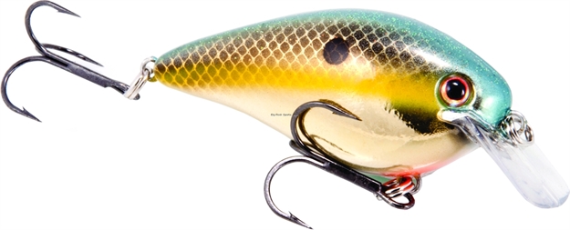 Picture of Strike King Pro Model Kvd 1.5 Square Bill Silent Crankbait, 3", 7/16 Oz, Gold Sexy Shad, Floating,1Pk