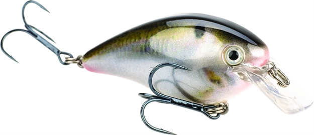Picture of Strike King Pro Model Kvd 1.5 Square Bill Silent Crankbait, 3", 7/16 Oz, Natural Shad, Floating,1Pk