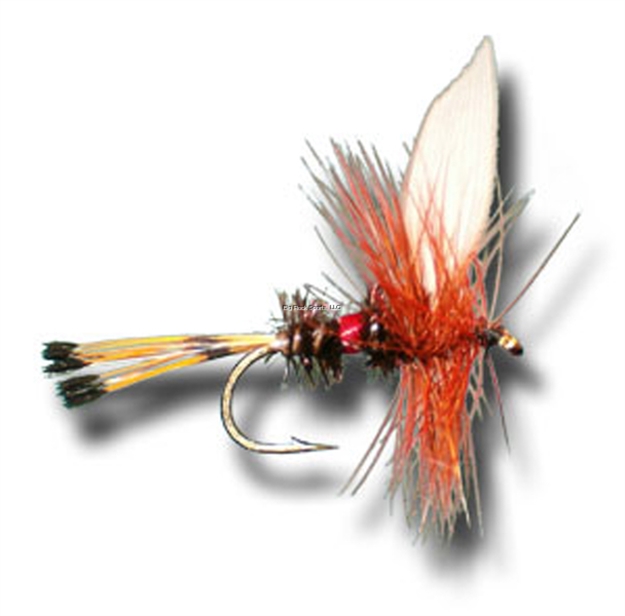 Picture of Superfly Dry Fly Royal Coachman 2/Pk Fly1112-14P-Us