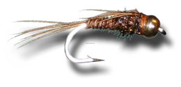 Picture of Superfly Nymph BH Pheasant Tail 2/Pk Fly1011-14P-Us
