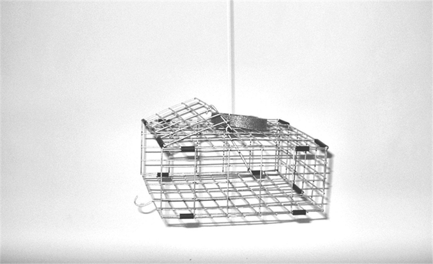 Picture of Tackle Factory Automatic Pop UP Crab Trap