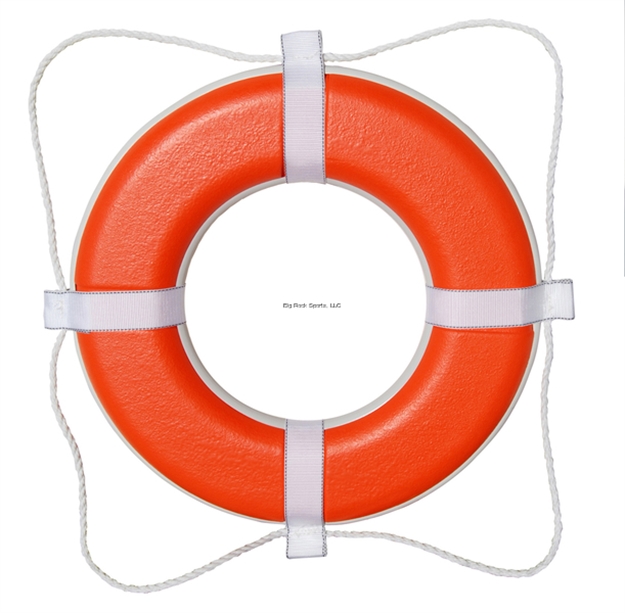 Picture of Taylor Made 20" Orange Foam Ring Buoy