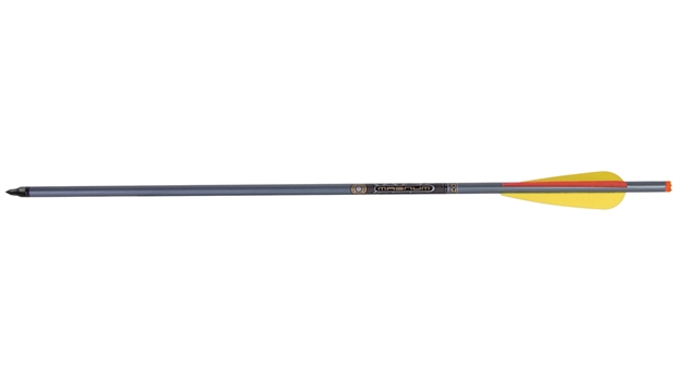 Picture of Ten Point 20" 2219 Aluminium Arrows
