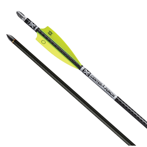 Picture of Ten Point Evo-X Carbon Arrows 20 Metal