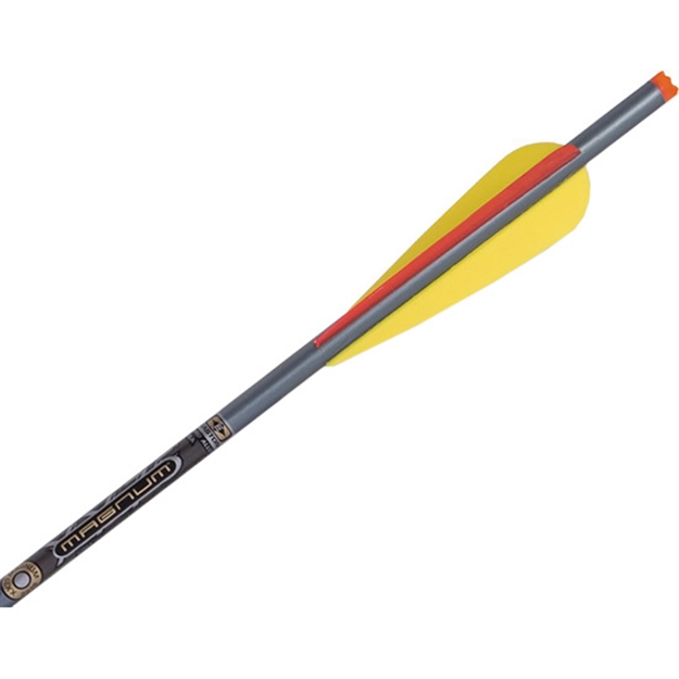 Picture of Ten Point Arrows Magnum Xx75 Aluminum 20 6Pk