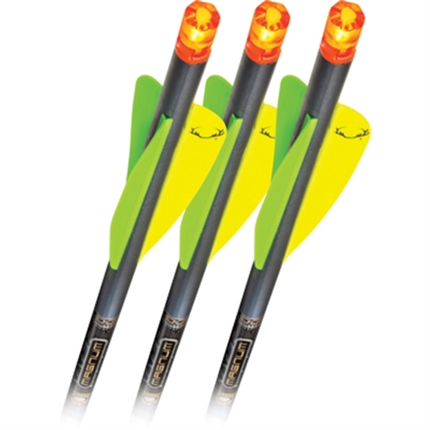 Picture of Ten Point Xbow Arrow 22" Pro V22 Carbon Omni-Brite 3Pk